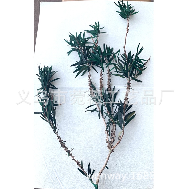 微信图片_20200503194021_副本