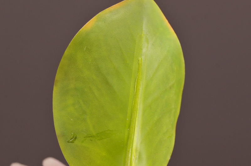 Wholesale of high-end artificial flowers such as faux emperor flower, South African princess flower, flocked faux flowers, hotel banquet table flowers, and homestay decoration pic 13