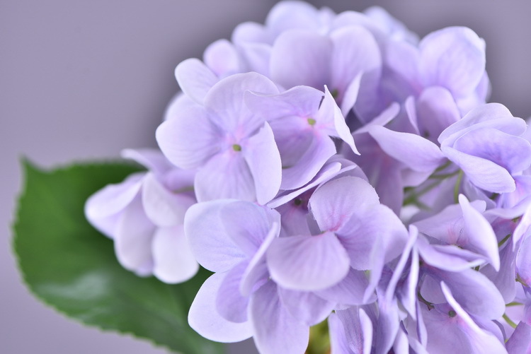 Factory supply of artificial hydrangeas, high-end hydrangea wholesale, wedding, home, hotel landscaping, main flowers, decorative artificial flowers pic 29