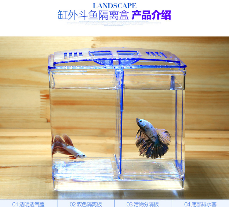 Mini plastic isolation aquarium for betta fish, ornamental fish, double-compartment ecological goldfish tank, pet breeding box pic 11