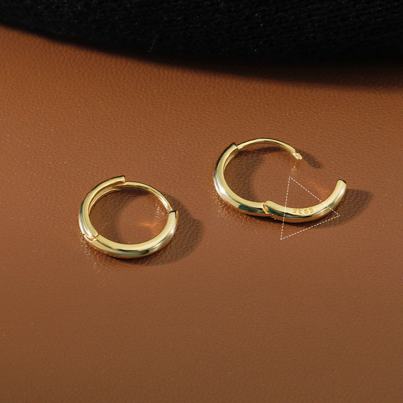 s925 silver ear buckles wholesale, feminine Korean earrings, 2023 new trendy ear bone nails, ear bone rings, trendy pic 12