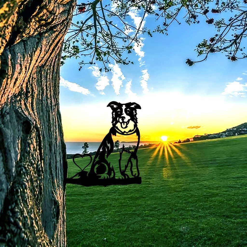 2_Sbca11932ab6540d58c1e278c04f