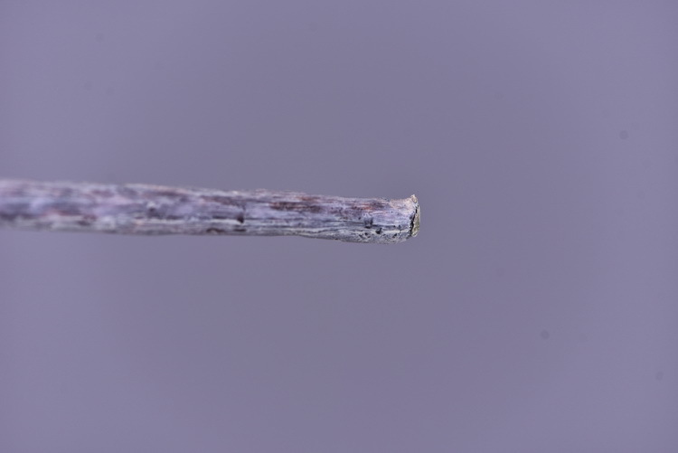 Wholesale of artificial apple branches, multi-leaf home decoration fruit branches, new Chinese-style New Year decoration berries from the manufacturer pic 50