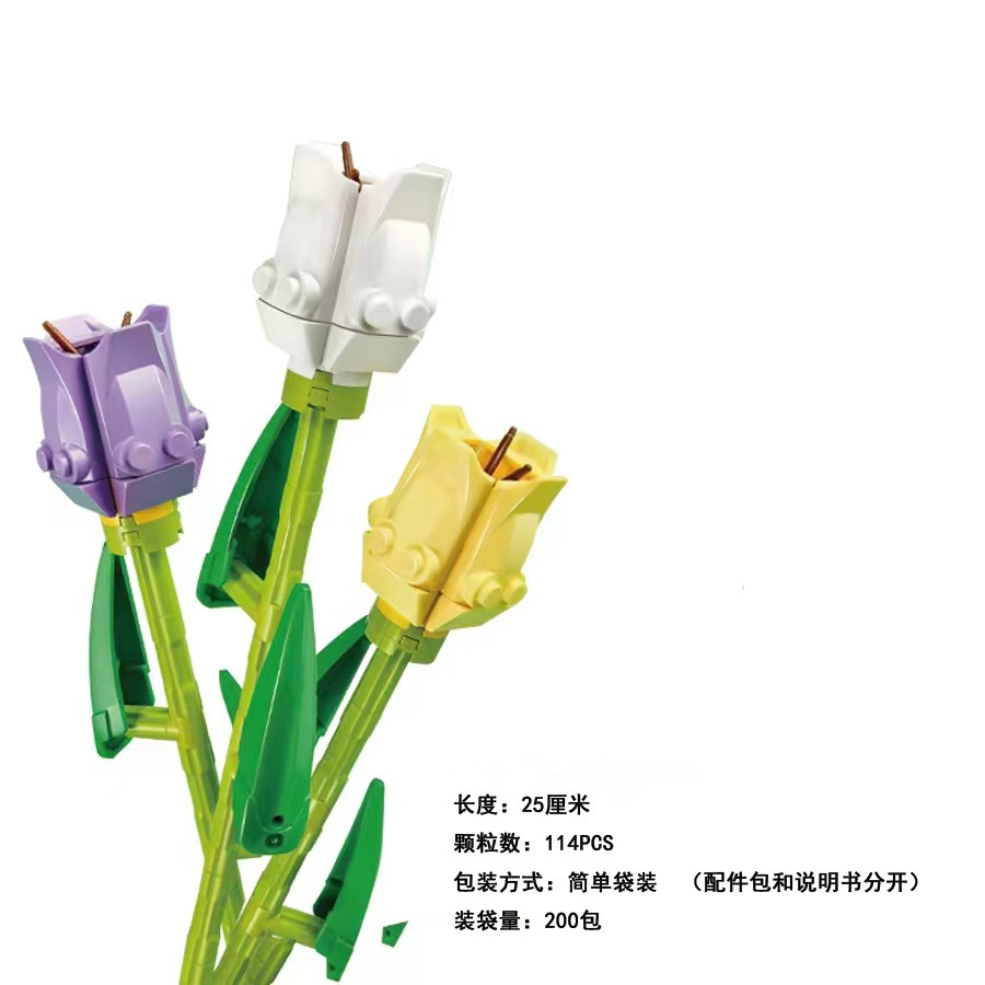 郁金香3