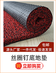 Wholesale of pvc plastic for the entrance door, elevator, hotel welcome, anti-slip wire rings, entrance floor MATS, carpets and foot MATS pic 2