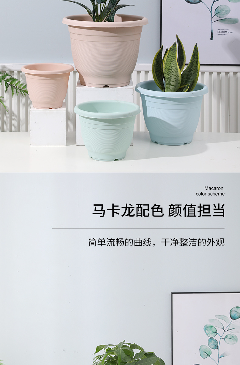 新款马卡龙pp树脂花盆控根深大号塑料仿陶瓷绿萝加仑盆北欧简约盆详情10