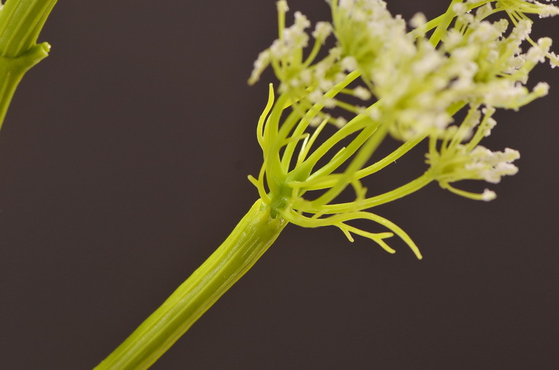 Wholesale of artificial lace and artificial green plants from the original factory, flower arrangement materials, and artificial plants for home, hotel, wedding and decoration pic 9