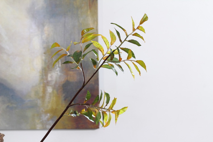 Dongli Factory direct sales, wholesale of olive leaf branches, artificial leaves, artificial leaves, Ins-style interior decoration, flower arrangement plants, wall accessories, artificial green plants pic 19