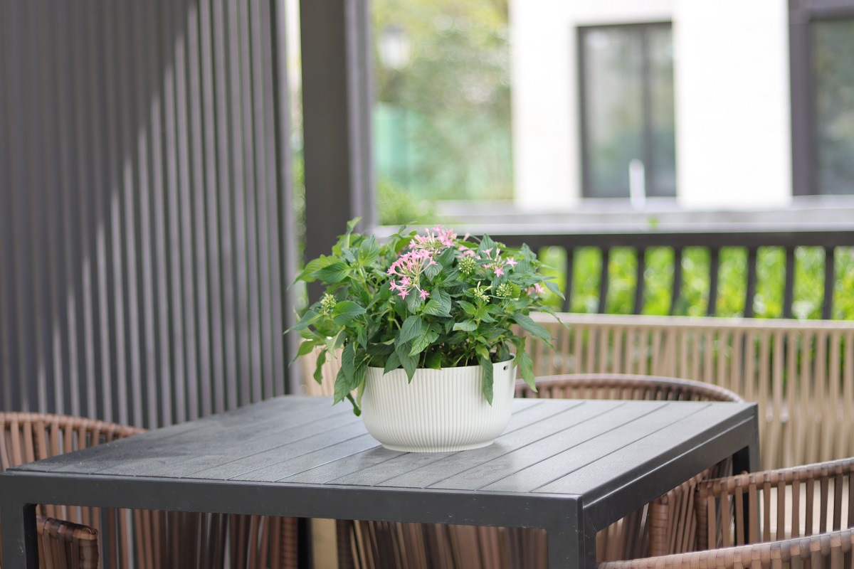 悬挂家居阳台吊篮花盆花篮藤编装饰北欧现代风格绿萝园艺义乌出口悬挂家居阳台吊篮花盆花篮藤编装饰北欧现代茏达森园艺详情33