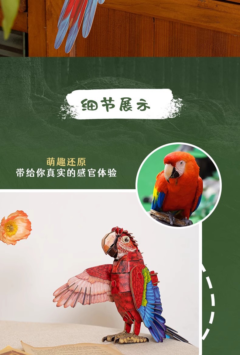 梦巴格3D立体纸拼图益智模型拼插装玩具自然科普动物手工金刚鹦鹉详情6