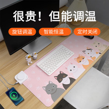 跨境小台灯批发学生宿舍阅读护眼LED灯酷毙灯卧室床头遥控镜前灯详情12