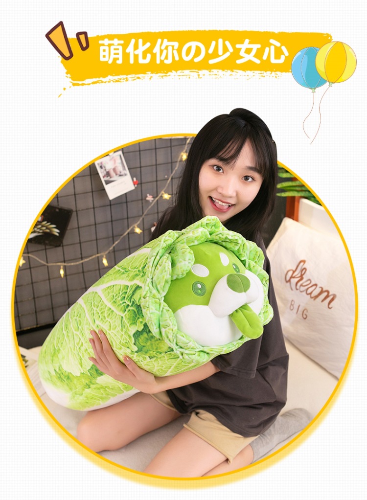 Wholesale of creative cartoon vegetable dog dolls, cabbage dog cushions and plush toys of the same style as those on Xiaohongshu pic 2