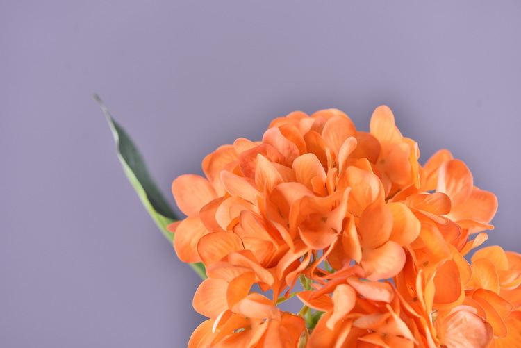 Factory supply of artificial hydrangeas, high-end hydrangea wholesale, wedding, home, hotel landscaping, main flowers, decorative artificial flowers pic 7