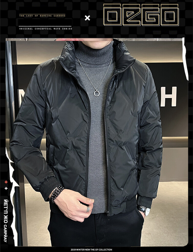 轻薄羽绒服男款高端短款冬季大码立领灰鸭绒外套男士新款潮牌男装详情2