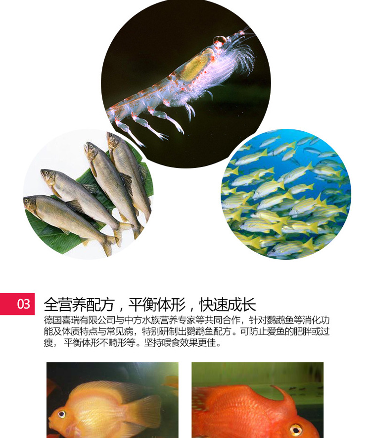 Wholesale of natural green fish food and red medium-sized ornamental fish feed for Xirui Flower parrot fish pic 35
