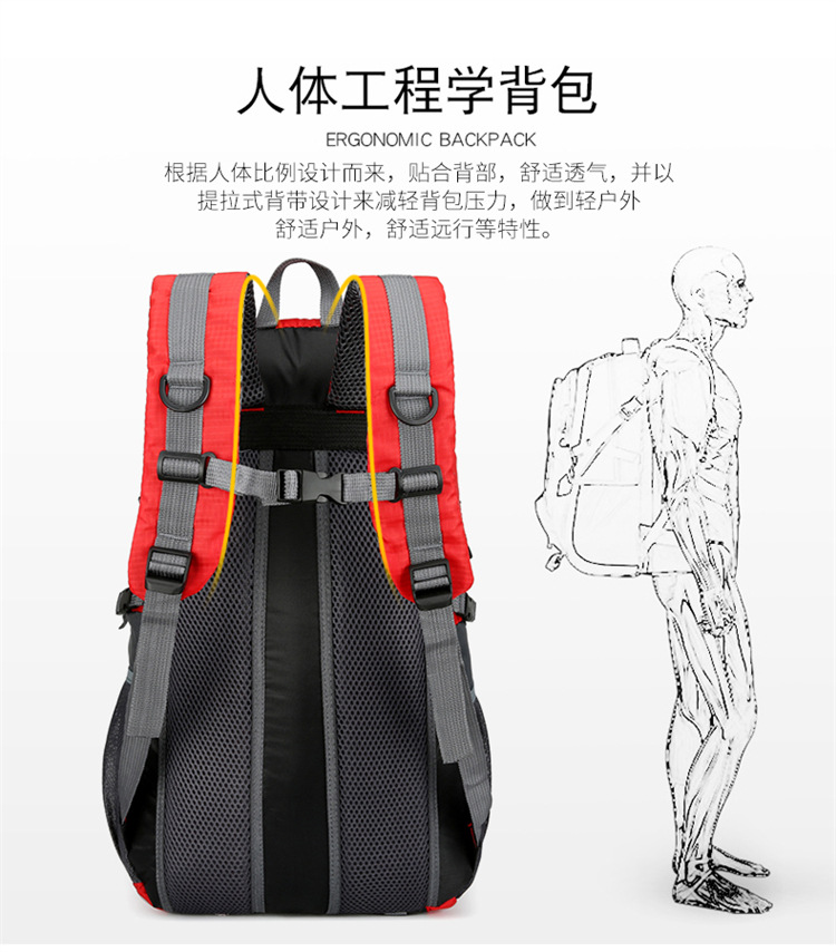 供应新款简约户外登山包男女双肩包运动书包休闲旅行旅游背包详情11