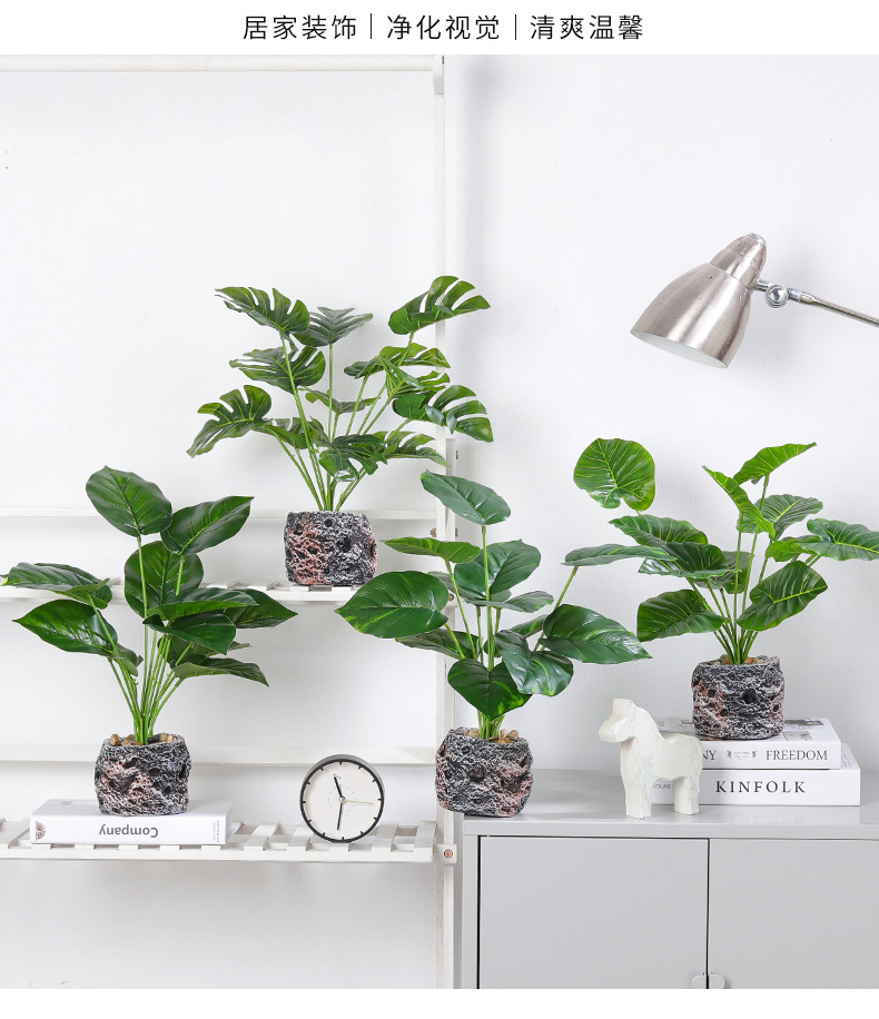 Nordic InS-style simulated pothos and turtle-back leaf potted plants, living room desktop simulated green plant potted plants, home decoration ornaments simulated potted plants pic 5