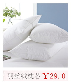 Hotel and guesthouse linens, bedding, all-cotton anti-down fabric quilt core feather velvet quilt pic 6