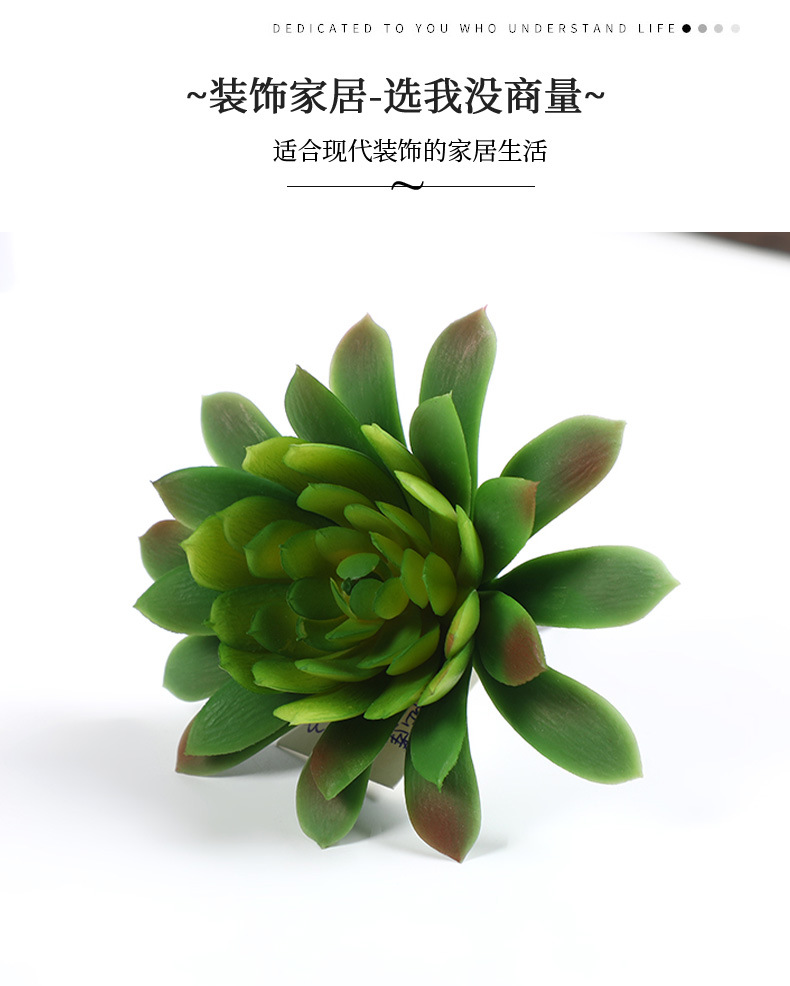 新款仿真塑料多肉 逼真手感插花多肉园艺装饰多肉绿植多头组合批发详情3