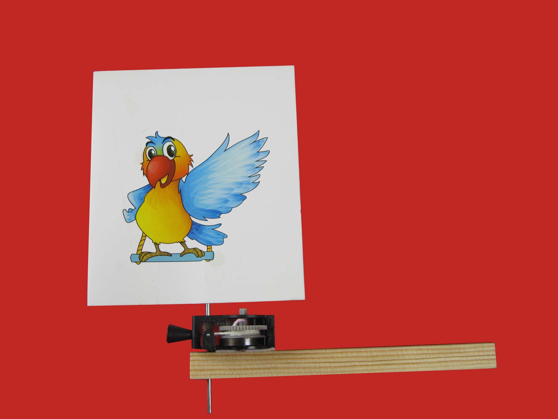 Science Experiment Set: Caged Bird, Zhiyi Technology Small Craft Toy, Competitive Game, Visual Pause - Entering the cage pic 9