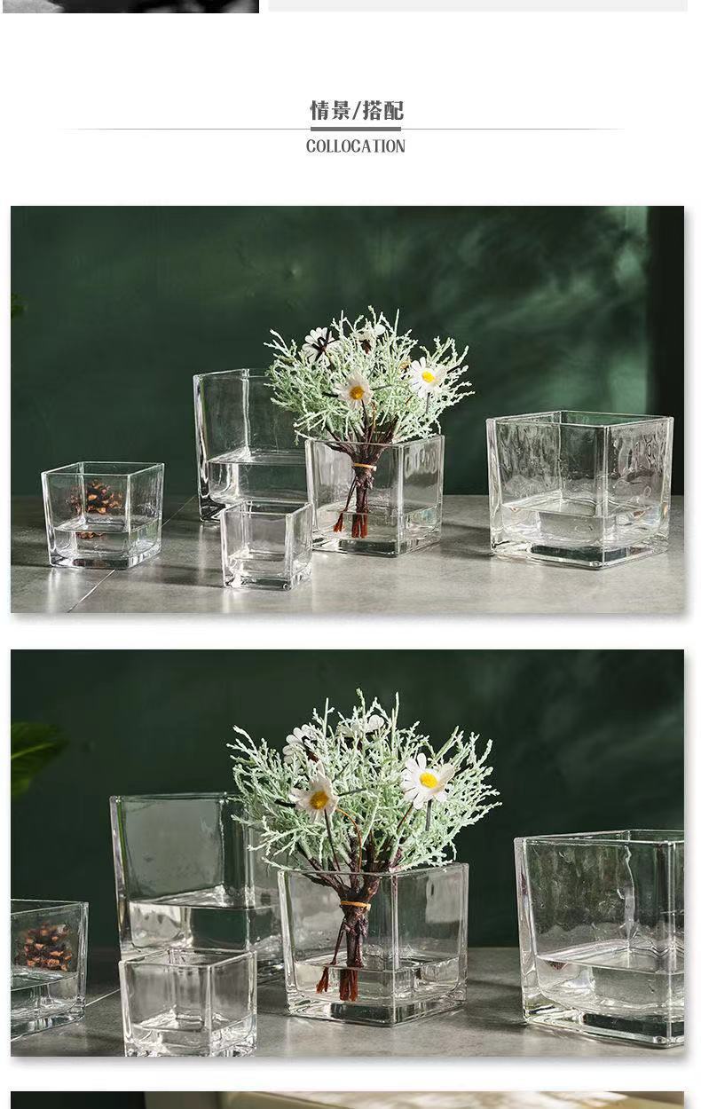 Glass square VAT, square glass flowerpot, hydroponic container, transparent multi-purpose square VAT, green vine plant, multi-functional hydroponic vase, fish tank pic 4