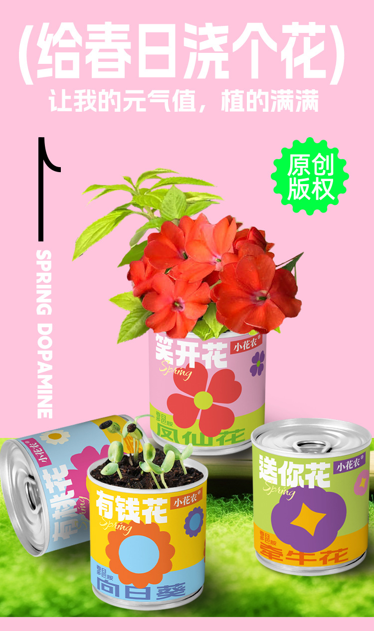 小学生科教玩具春天儿童种植迷你小盆栽花卉室内桌面种花易拉罐头详情8