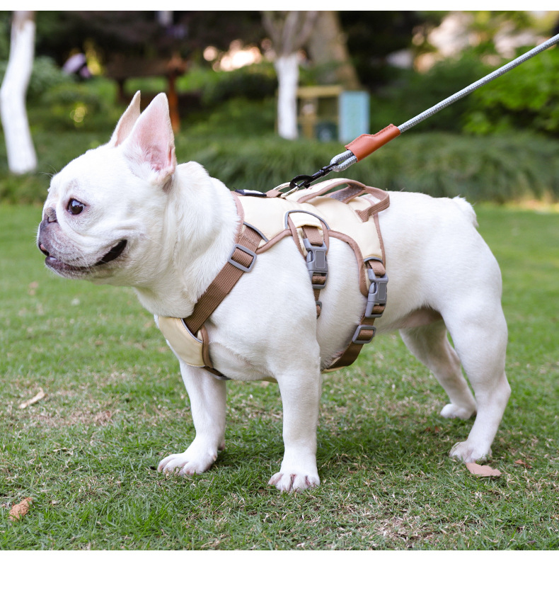 狗狗牵引绳中小型犬宠物胸背带反光防护减震狗狗胸背宠物牵引绳详情19