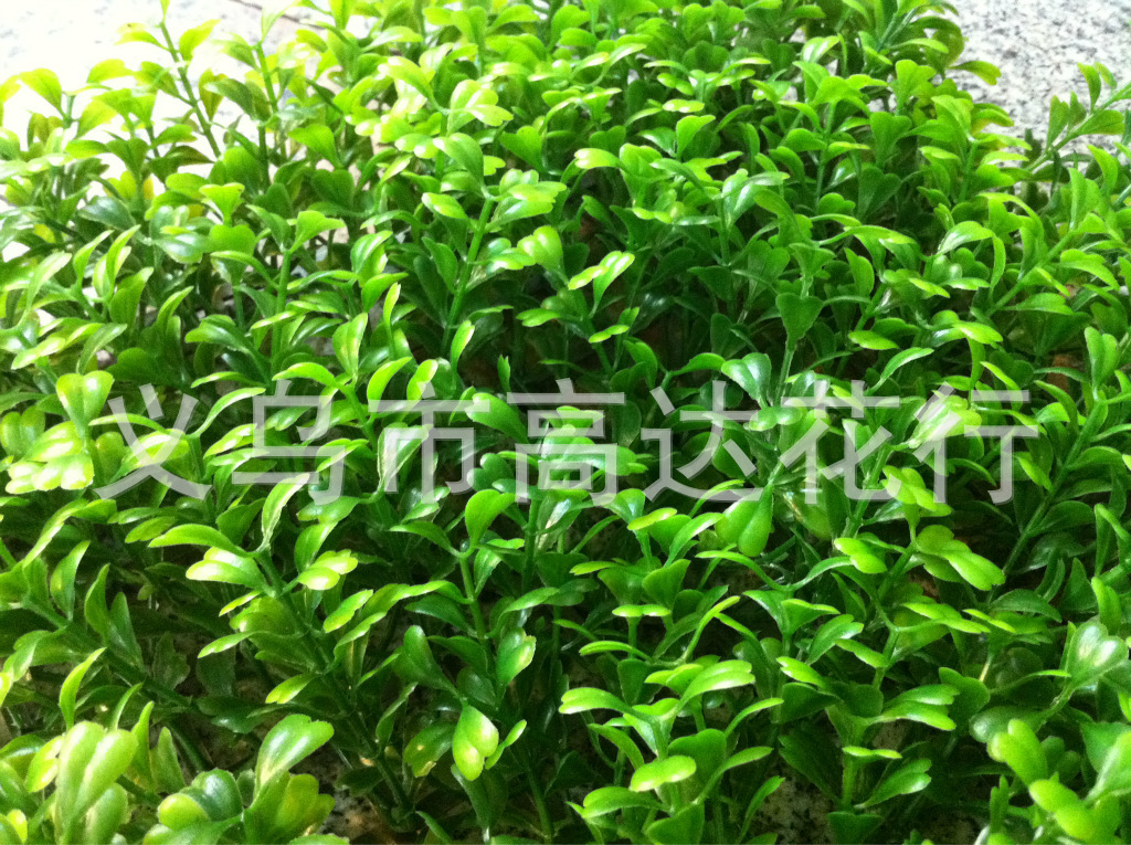 Yiwu factory direct sales, wholesale of artificial tall seedling lawns, artificial turf plastic 60*40cm, densified and thickened pic 22
