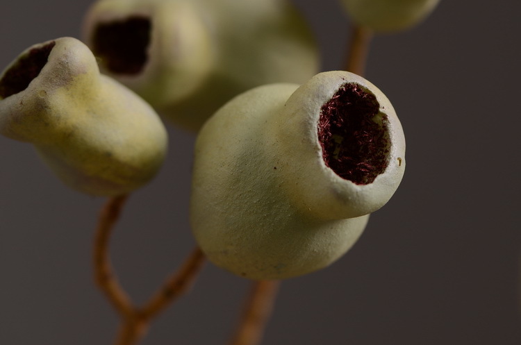 Dongli Flower Industry, the original manufacturer, is now wholeselling vintage decorative pipe fruit artificial flowers, artificial flowers, table flowers, artificial berries, zombie fruits, eucalyptus fruits, and offers one-piece consignment pic 21