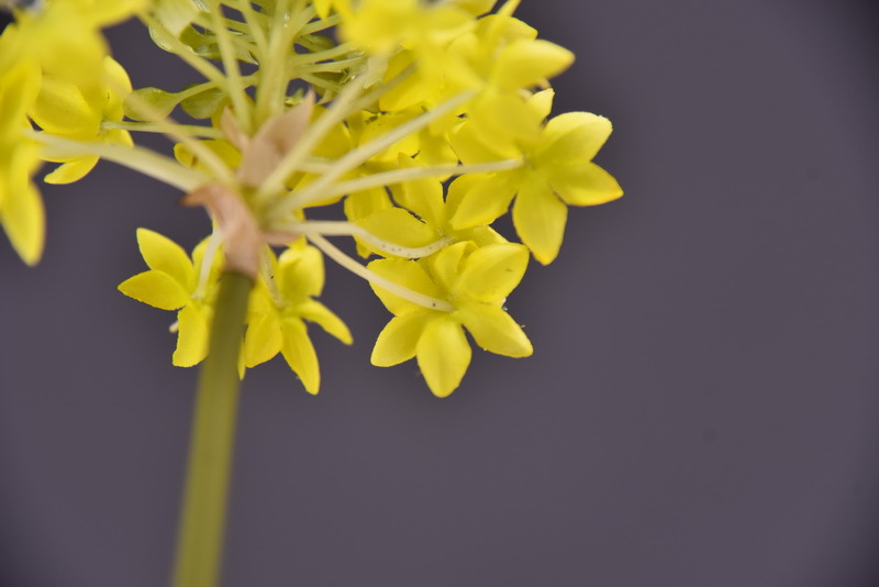 High-end artificial flower wholesale with simulated Bethlehem Star line floral design and simulated velvet decorative artificial flowers pic 21