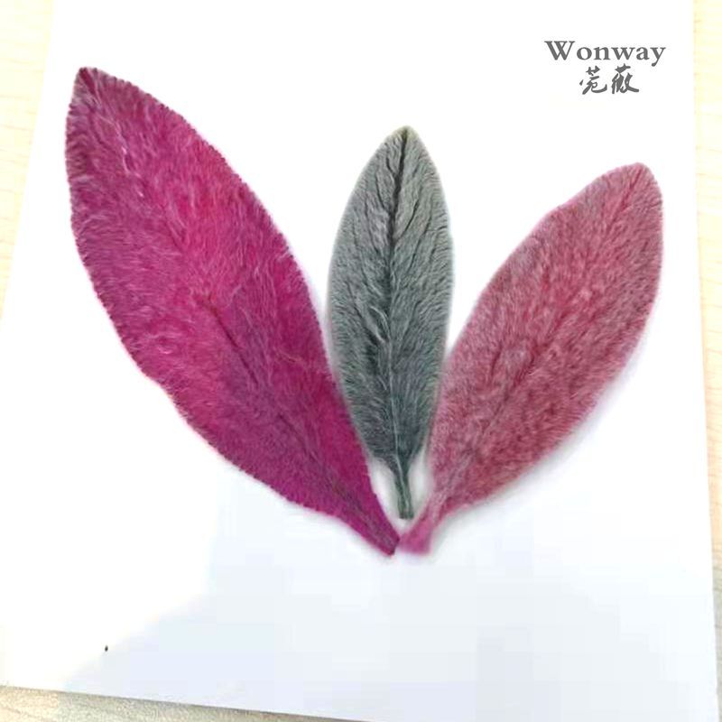 Eternal preservation leaves, cotton, wool, water Perilla and rose, specially designed for flower shop handicrafts pic 1