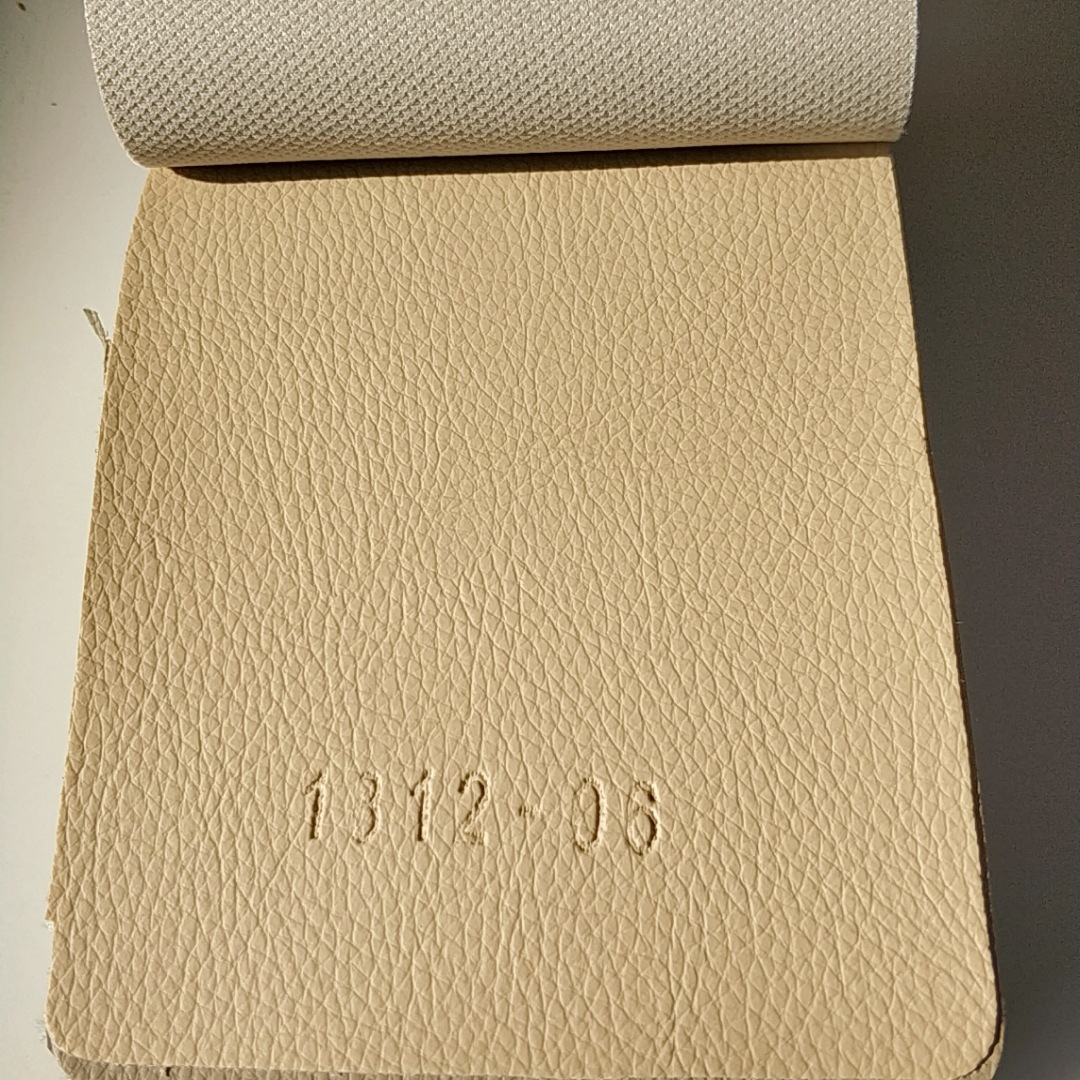 B612Kaji_20190122_104402_687