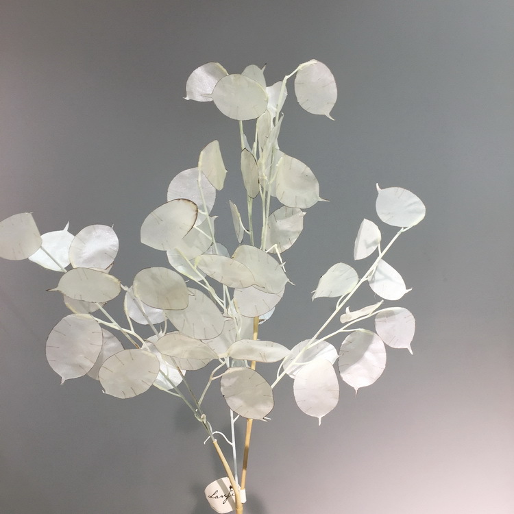 【 Factory Direct Sales Wholesale 】 Dongli offers direct supply of living room home decoration artificial dried flowers wholesale and artificial silver fan leaves in stock pic 18