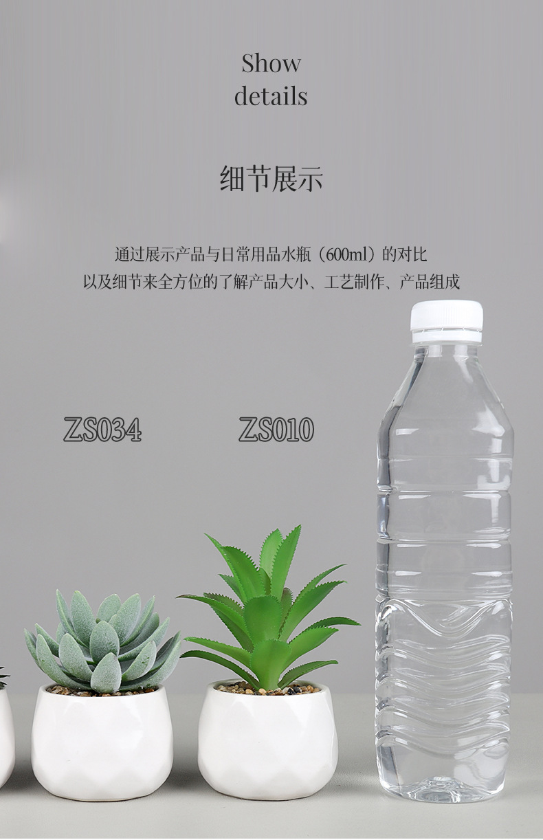 Amazon set of simulation succulent three-piece set with PVC box home decoration simulation plant potted plant gift pic 21