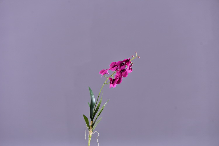 Factory direct sales of high-end artificial dendrobium, wholesale of artificial flowers with leaves, home decoration of Phalaenopsis and Lanjin artificial plants pic 26