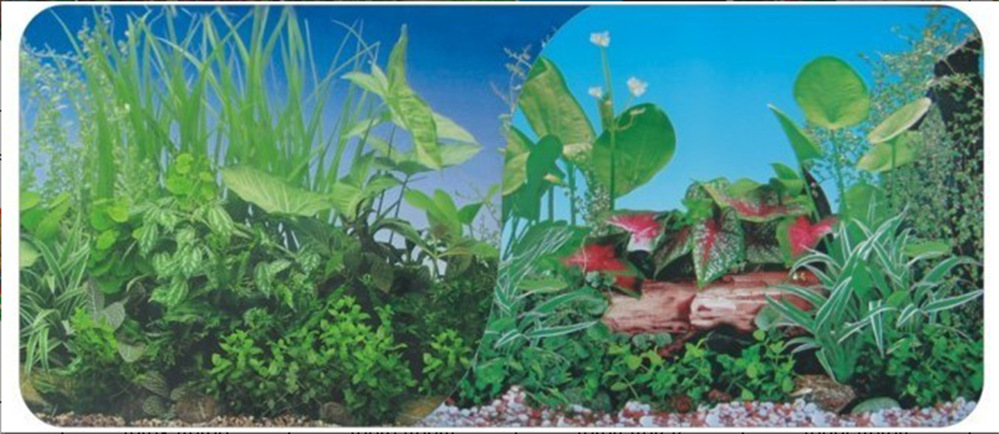 60cm double-sided thick fish tank background painting aquarium decoration background painting can be customized for multiple types of aquariums pic 2