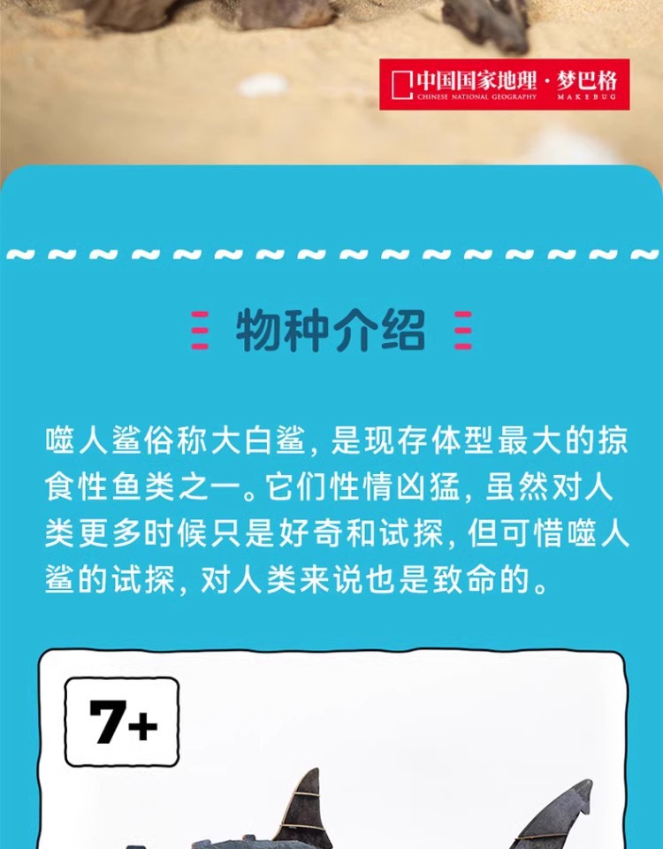 梦巴格3D立体纸拼图益智模型拼插装玩具自然科普动物手工噬人鲨鱼益智拼图玩具详情3