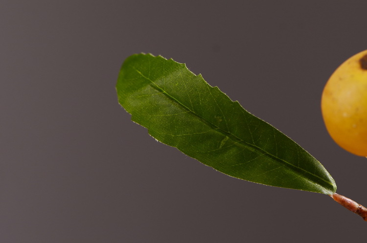 Factory direct sales of artificial loquat fruit branches, Chinese modern and simple soft decoration, artificial berries wholesale, prosperity fruit pic 8