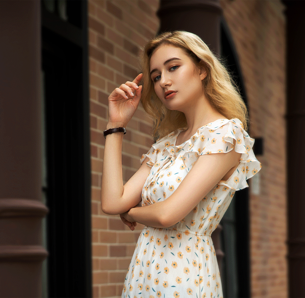 AL81 Pro Video conference fill light, universal computer live streaming photography light, soft light, fill light pic 4