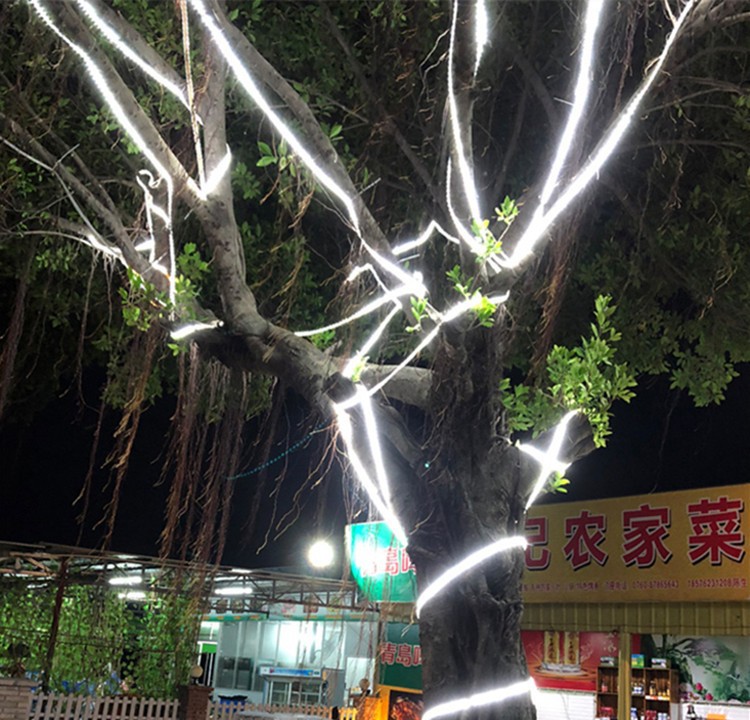 LED light strip waterproof 220V, seven-color double row, three-row 2835, outdoor three-color 5730, construction site household engineering light strip pic 33