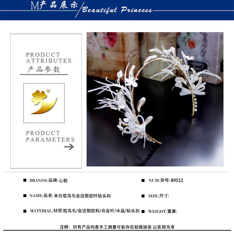 Korean version crystal headband, photo studio, magazine cover design, festival celebration, stage performance, fairy feather headwear pic 3