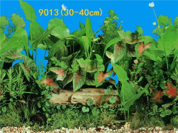 30cm tall, single-sided thin aquarium fish tank background painting, aquarium equipment and supplies glass sticker background painting pic 37
