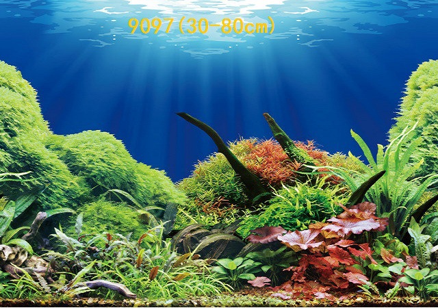 30cm tall, single-sided thin aquarium fish tank background painting, aquarium equipment and supplies glass sticker background painting pic 81