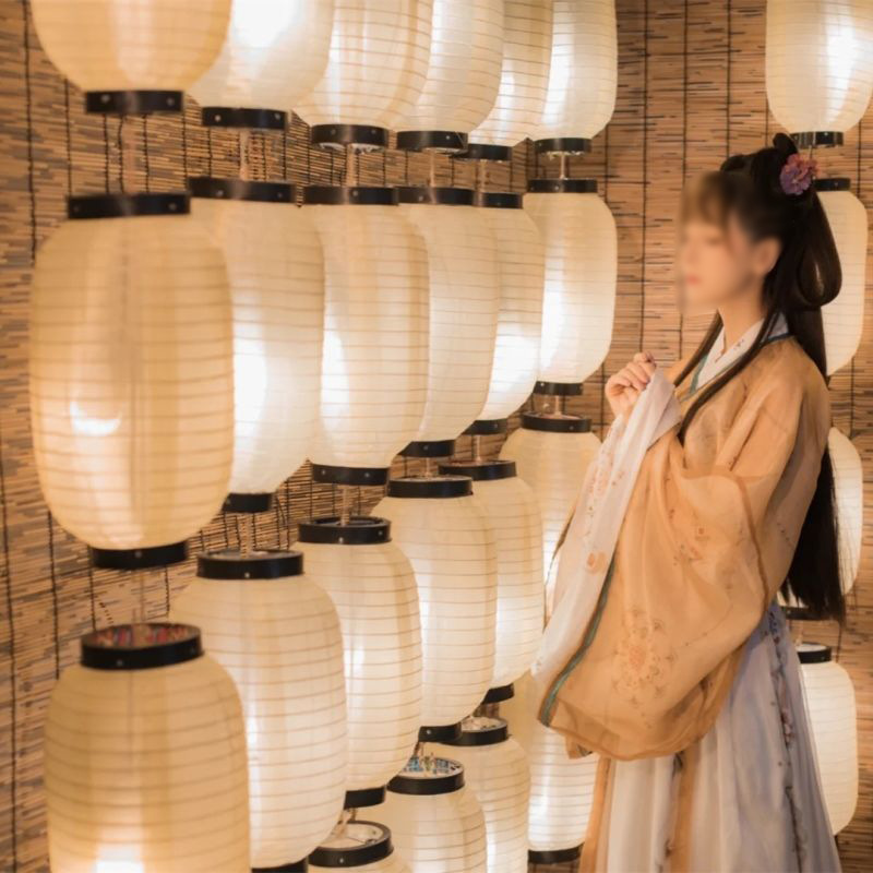 Ancient-style lanterns, Hanfu shooting props, DIY lantern walls, Lantern Festival riddles, Tang and ancient-style wedding lantern decorations pic 27