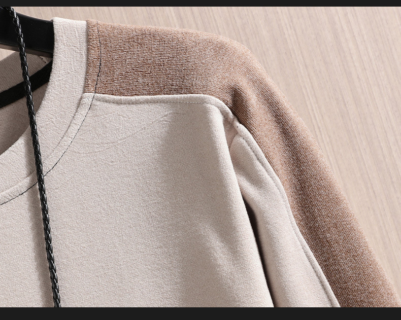 2022 Autumn/Winter new double-sided German fleece long-sleeved T-shirt for men, Korean-style trendy fleece hoodie, casual top for men pic 27