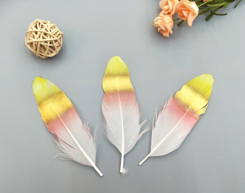 A large quill feather gift box with all-gold and all-silver feathers, paper card bookmarks and decorative quill pens pic 64