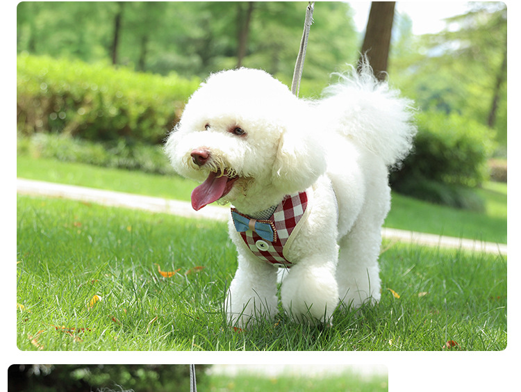 Pet supplies, pet supplies, pet cat supplies, anti-break, breathable, adjustable cat chest and back straps, vest-type cat leashes, cat lashes pic 10