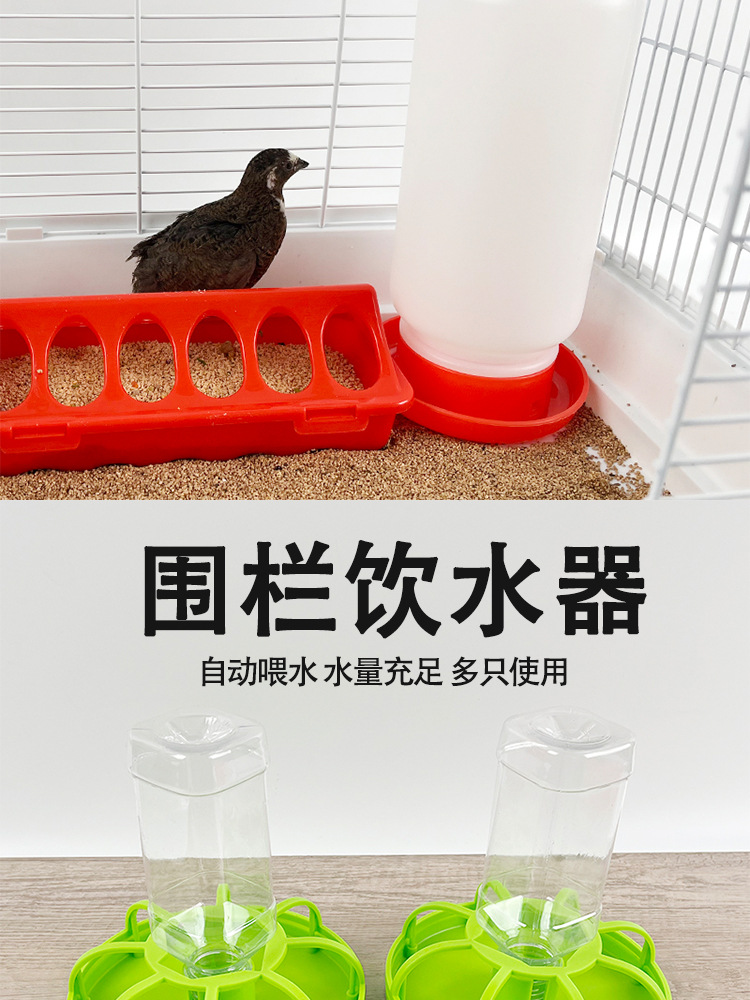 小鸡槽子小型自动饮水器鹌鹑饲料喂食器芦丁鸡食槽养鸡自动喂食器详情2