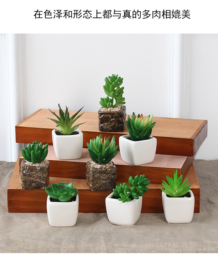 Factory wholesale mini artificial succulent plant potted plants, online store shooting props, desktop office decoration ornaments, artificial potted plants pic 15