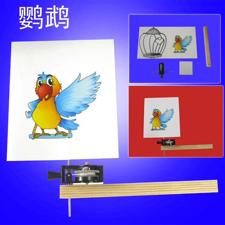 Science Experiment Set: Caged Bird, Zhiyi Technology Small Craft Toy, Competitive Game, Visual Pause - Entering the cage pic 5